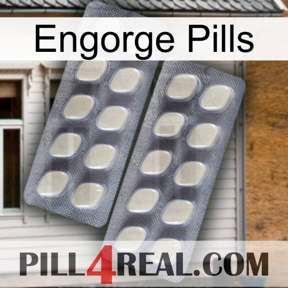 Engorge Pills 07.jpg